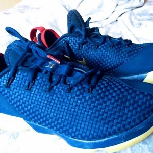 Lebron james 14 low cut